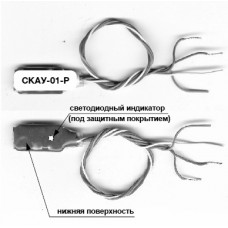 Сигма-ИС СКАУ-01-Р модуль адресного расширителя