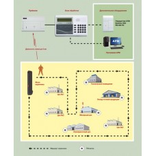 Альтоника DS1990 Ключ ТМ